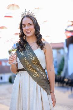 24504X0701 – kopija